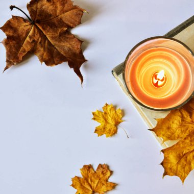 Açık gri arka planda sonbahar sakin bir hayattır. Estetik