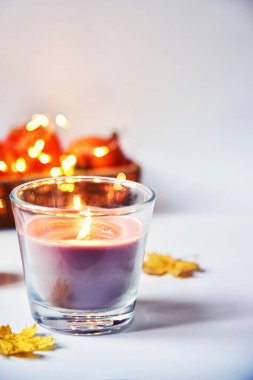 Açık gri arka planda sonbahar sakin bir hayattır. Estetik