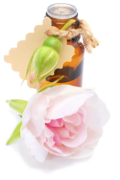 Frasco com óleo de rosa isolado sobre fundo branco — Fotografia de Stock