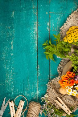 Ahşap zemin üzerine yaz taze şifalı otlar.