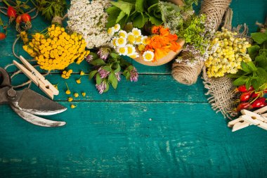 Ahşap zemin üzerine yaz taze şifalı otlar.