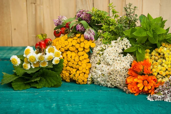 Sommerfrische Heilkräuter auf dem hölzernen Hintergrund. — Stockfoto