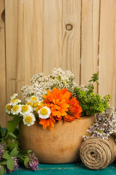 Zomer verse kruiden op de houten achtergrond. — Stockfoto