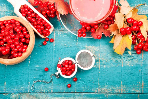 Tee Gesundheit mit Viburnum. Nützliche Lebensmittel — Stockfoto