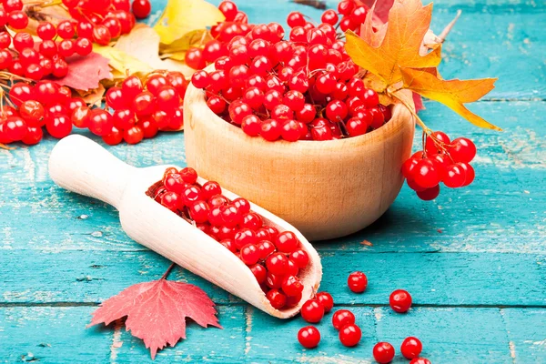 Tee Gesundheit mit Viburnum. Nützliche Lebensmittel — Stockfoto