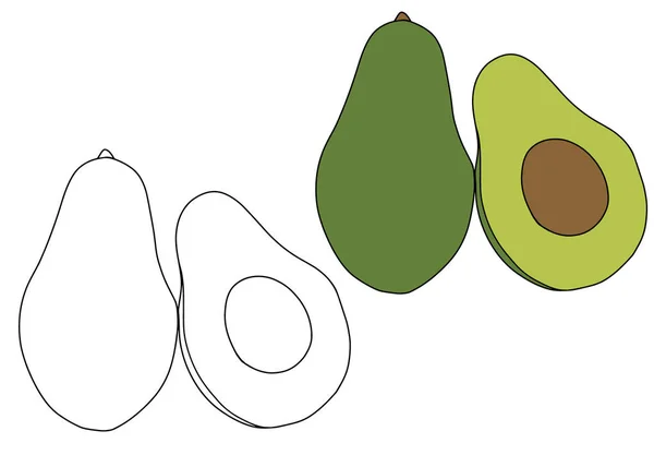 矢量插图与鳄梨 艾康健康的有机食品 孤立的符号 — 图库矢量图片