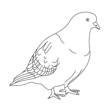 Güvercinli vektör çizimi. bir kuşun siyah beyaz çizimi. satır sanatı.