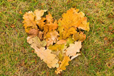 Düşen yapraklar kalbinde