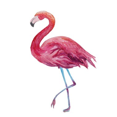Download Flamingo Feathers Free Vector Eps Cdr Ai Svg Vector Illustration Graphic Art