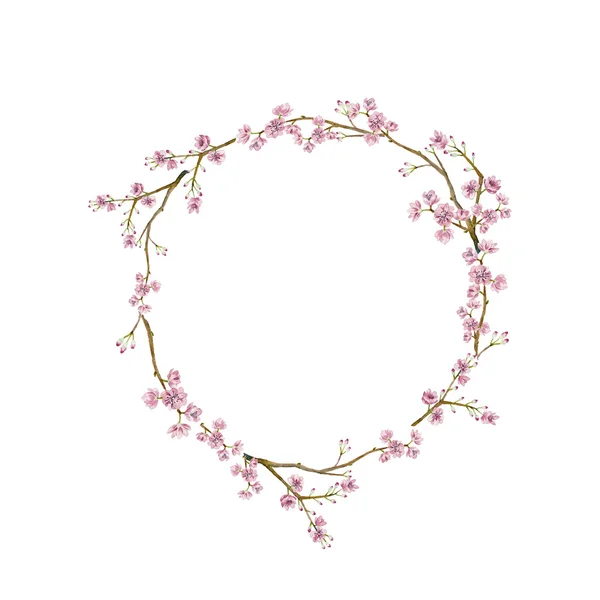 Watercolor sakura wreath — Stock Illustration Watercolor sakura wreath Stock Illustration