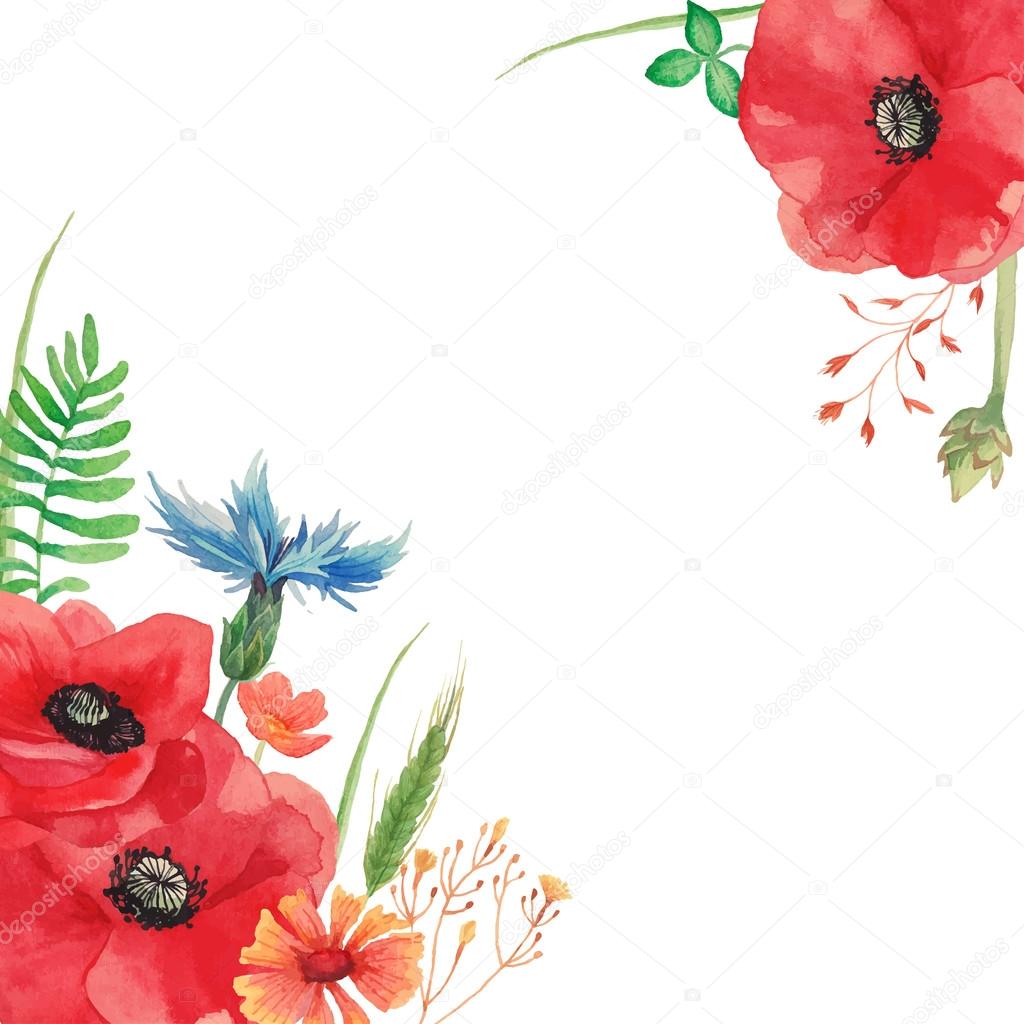 Coquelicot Ble Images Vectorielles Coquelicot Ble Vecteurs Libres De Droits Depositphotos