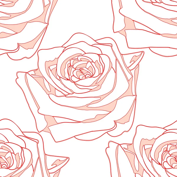 Rose fleurie sur fond blanc — Image vectorielle