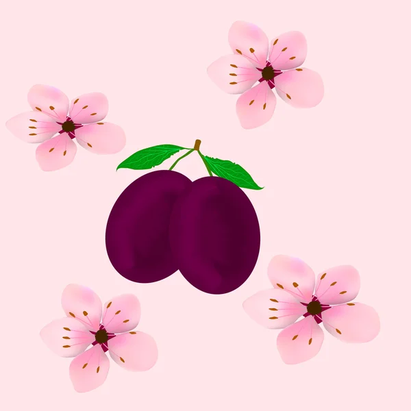 Plums — Stock Photo, Image