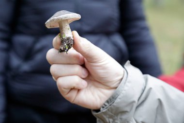 Sonbaharda ormanda küçük bir mantar gösteren bir adama yaklaş.