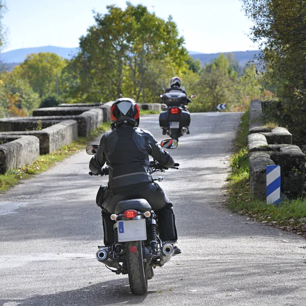 Bir yoldaki iki motorcunun arka görüntüsü