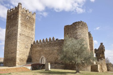 Laguna de Negrillos Kalesi kalıntıları, Leon, İspanya