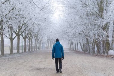 Kış sahnesinde sis içinde iki sıra rime bulanmış ağaçlar arasında yürüyen bir adam.