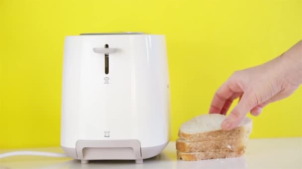 Close View Woman Putting Bread Slices Toaster — Stock Video