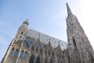 Stephansplatz Meydanı 'ndaki St. Stephen Katedrali.