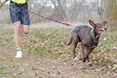 Adam köpeğiyle popüler bir kanikros etkinliğine katılıyor.