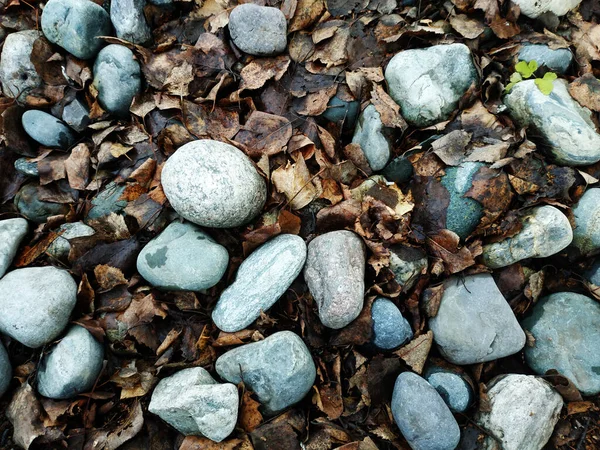 Rocks Ground — Stock Photo, Image