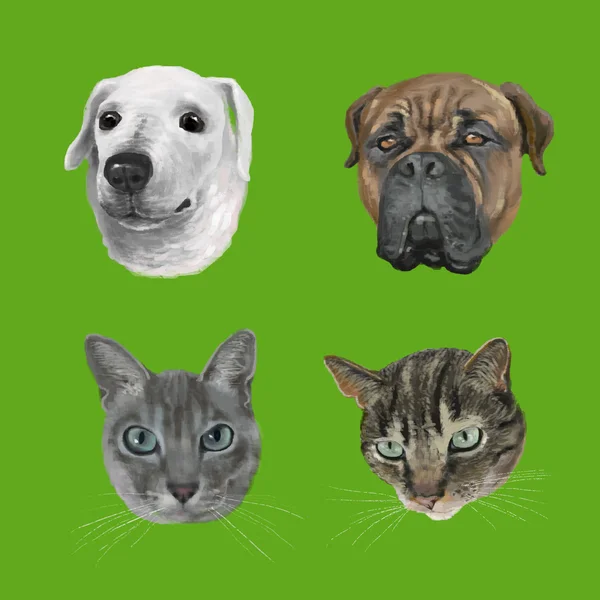 Psy i koty głowy — Zdjęcie stockowe