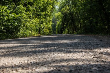 Ağaçların arasından geçen çakıl ve asfalttan bir yol. 