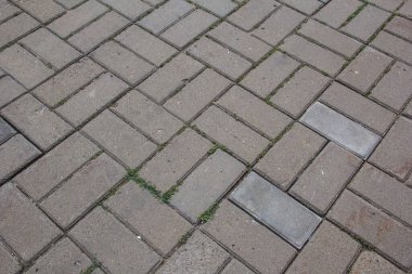 Arasında çimenler büyüyen dikdörtgen bir fayans..