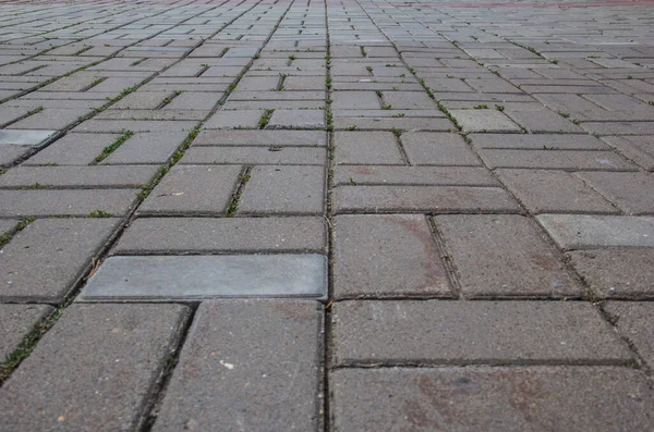 Een Rechthoekige Tegel Met Gras Ertussen — Stockfoto