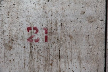 Güneşte çimlere düşen yapraklar.