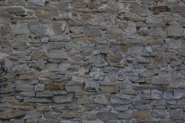 Güneşte çimlere düşen yapraklar.