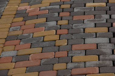 Güneşte çimlere düşen yapraklar.