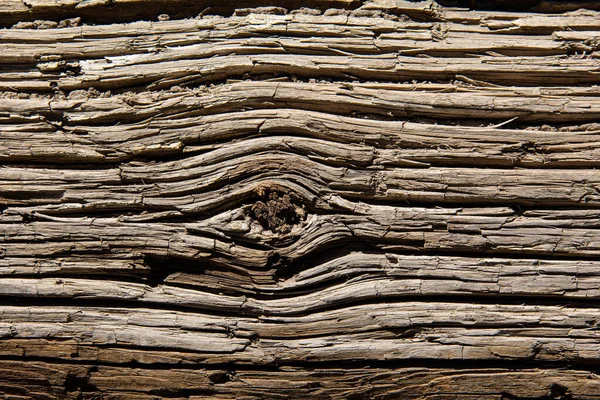 Texture Old Brushed Wood Clear Pattern Fibers — Stock Photo, Image