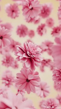 Yeşil saplı ve havada süzülen canlı turuncu lalelerin 3 boyutlu animasyonu, mutluluk, doğa ve bahçe kavramları için gerçekçi bahar çiçekleri grafikleri.