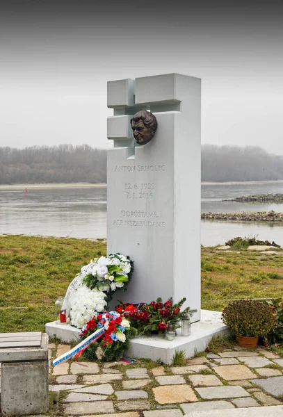 Monumento Las Víctimas Del Comunismo Sacerdote Busto Srholec Bratislava Devin — Foto de Stock