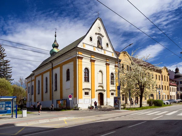 Καθολική Εκκλησία Της Αγίας Βαρβάρας Στη Zilina Φραγκισκανή Εκκλησία Σλοβακία — Φωτογραφία Αρχείου