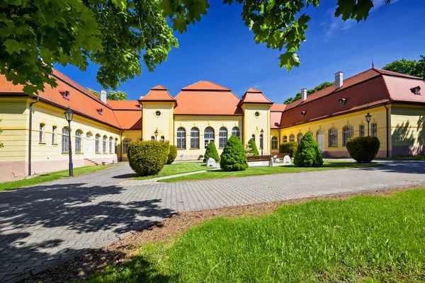 Neo Baroque Mansion Mansion House Museum Bardonovo Kelecsenyi Slovakia — Fotografia de Stock