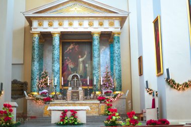 Vilnius Katedrali Litvanya