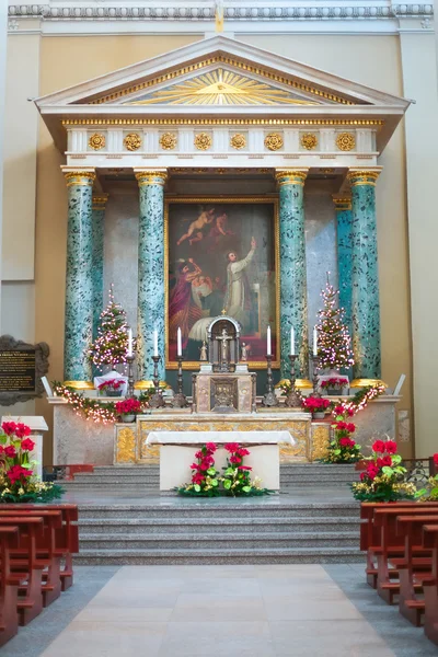 Vilnius Katedrali Litvanya