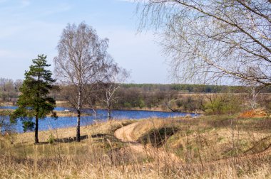 Bankada yalnız huş