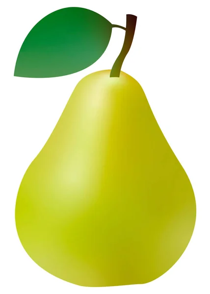 Realistic Green Pear Isolated White Background Vector Illustration — Stock Vector