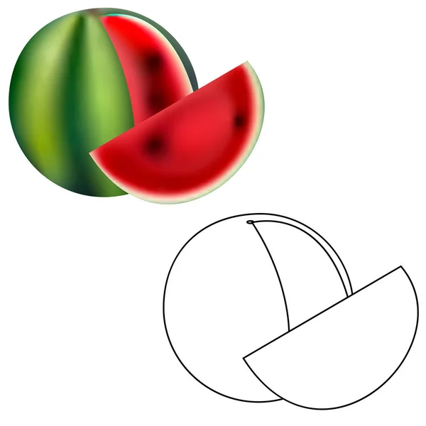 Wassermelonenfrucht Realistische Und Linie Süße Dessert Reife Nahrung Gesunde Saftige — Stockvektor