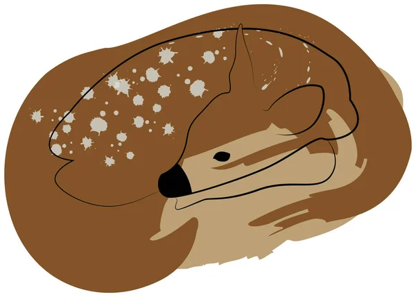 睡线鹿与油漆斑点 彩色涂鸦素描矢量插图 手绘动物绘图 隔离在白色 Eps — 图库矢量图片