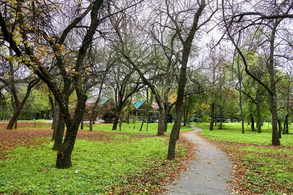 Herfst Het Park — Stockfoto