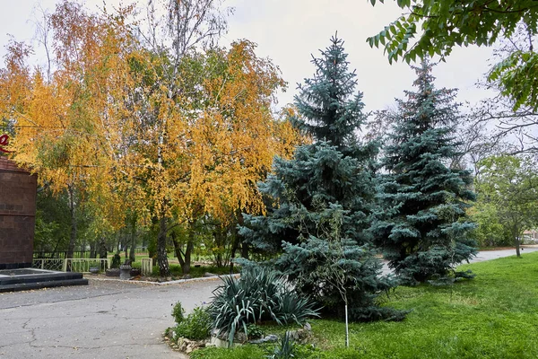 Осень Парке — стоковое фото