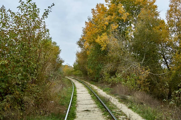 Прогулянки Лісом Залізницею — стокове фото