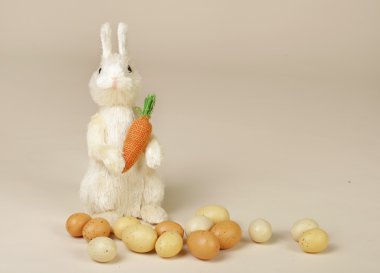 Paskalya Bunny havuç ve yumurta ile