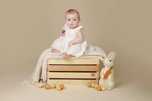 Baby paashaas eieren — Stockfoto