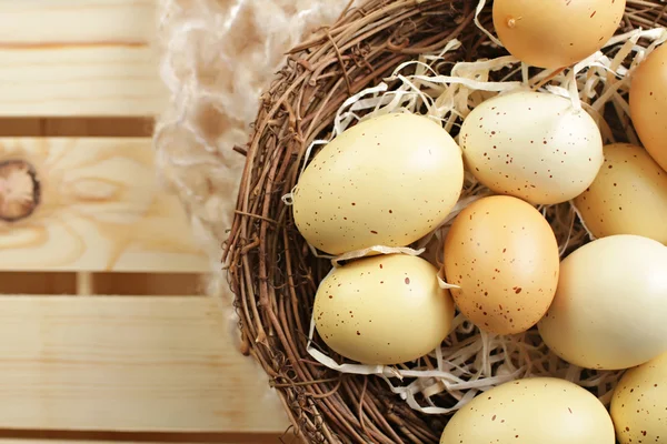 Eggs in a Nest, "Nest Egg" — Stock Photo, Image