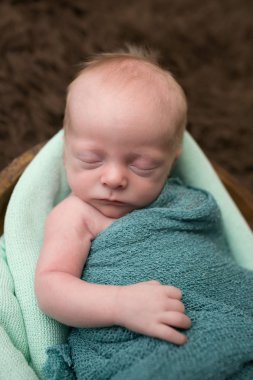 Sleeping Newborn in a Bowl clipart